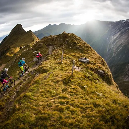 Daire Max Zell Am - Steinbock