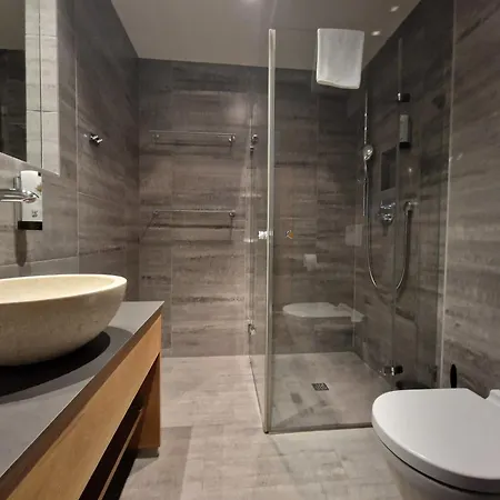 Max Residence Zell am See - Steinbock Lodges Apartment Zell am See