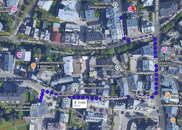 Max Zell Am - Steinbock ツェル アム ゼー